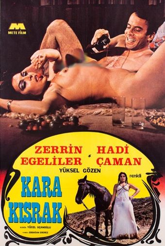 kara kisrak 1979 poster