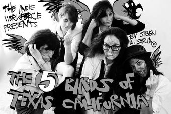 the five birds of texas, california 2014 poster