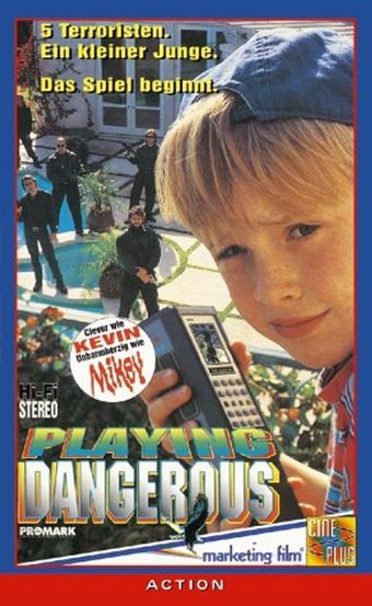 playing dangerous 1995 poster