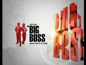 big boss 2004 poster