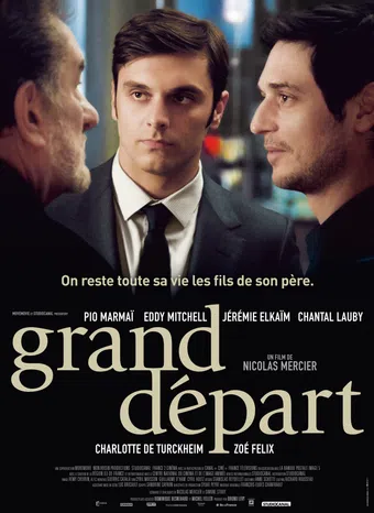 grand départ 2013 poster