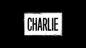 charlie 2016 poster