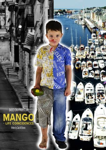 mango: life coincidences poster