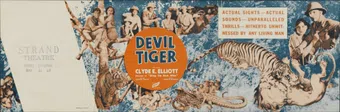 the devil tiger 1934 poster