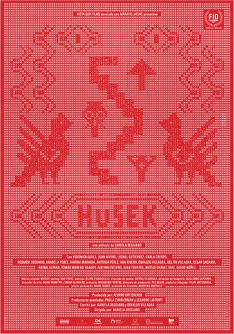 husek 2021 poster