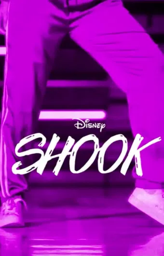 shook 2019 poster