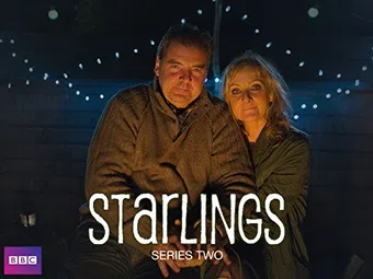 starlings 2012 poster