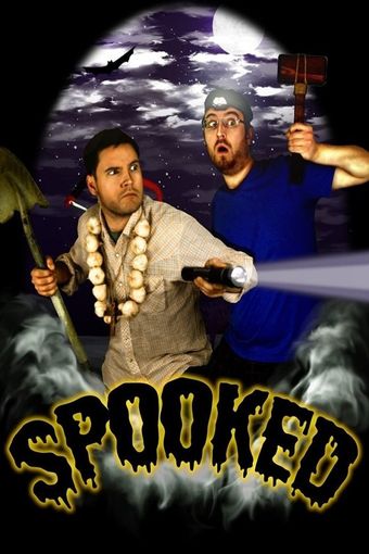 spooked 2013 poster