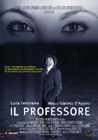 il professore 2012 poster