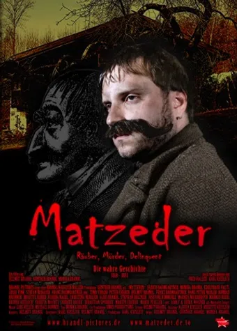 matzeder 2011 poster