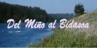 del miño al bidasoa 1990 poster