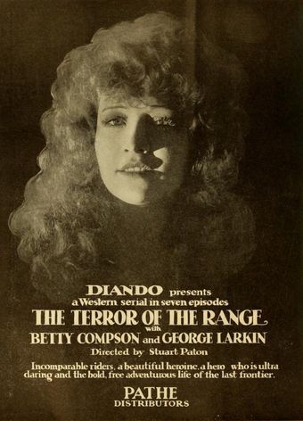 the terror of the range 1919 poster