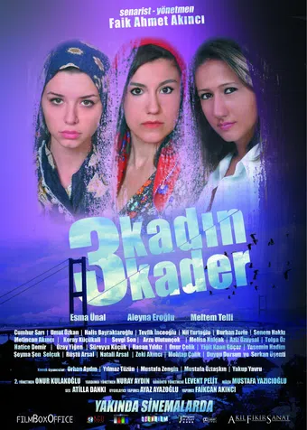 3 kadin 3 kader 2013 poster