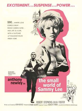 the small world of sammy lee 1963 poster