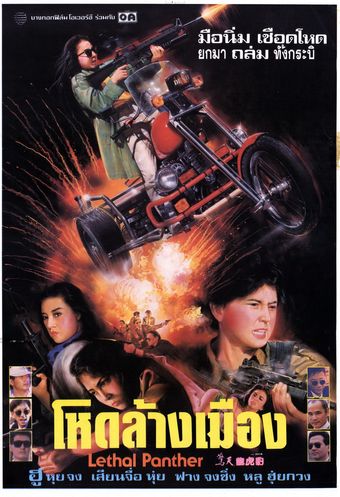 jing tian long hu bao 1990 poster