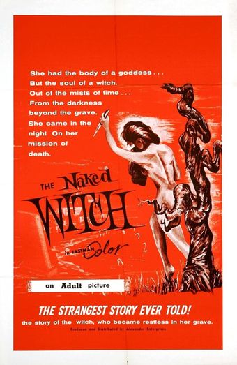 the naked witch 1961 poster