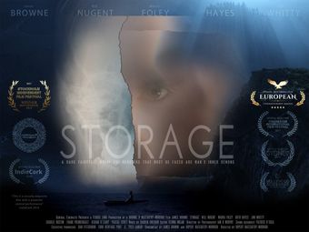 storage 2016 poster