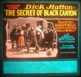 the secret of black canyon 1925 poster