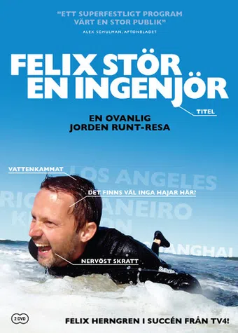 felix stör en ingenjör 2010 poster