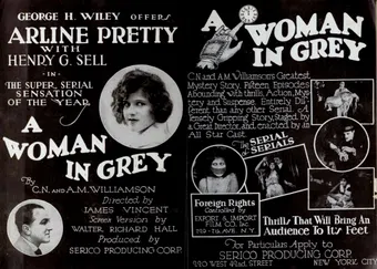 a woman in grey 1920 poster