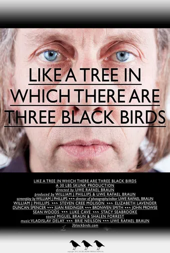 like a tree in which there are three black birds 2012 poster