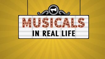 musicals in real life 2008 poster