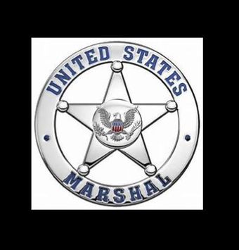 u.s. marshals: d.c. poster