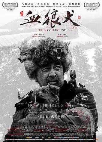 xue lang quan 2016 poster