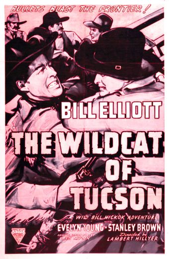 the wildcat of tucson 1940 poster