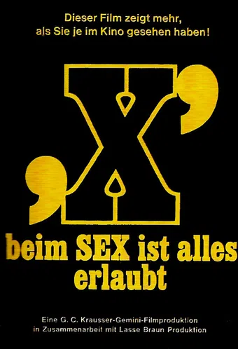 pornografie in dänemark - zur sache, kätzchen 1970 poster