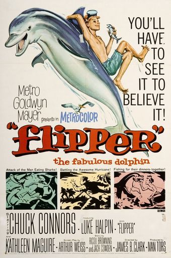 flipper 1963 poster