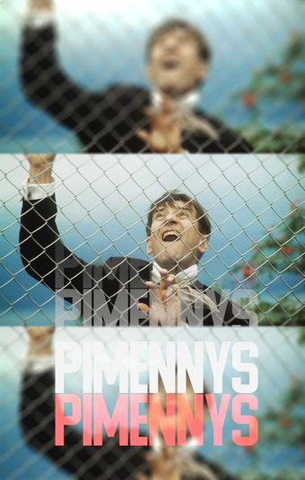 pimennys 1993 poster