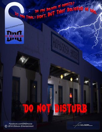 do not disturb 2014 poster