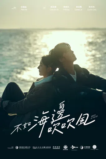 bu ru hai bian chui chui feng 2024 poster