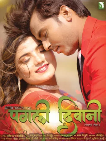 pagli diwani 2024 poster