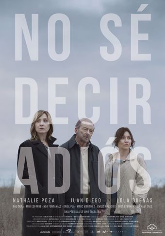 no sé decir adiós 2017 poster