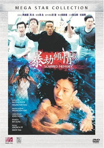 bao jie qing qing 1996 poster