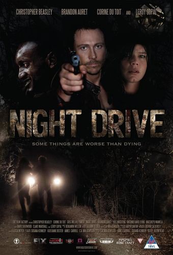 night drive 2010 poster