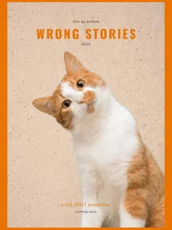 wrong stories poster