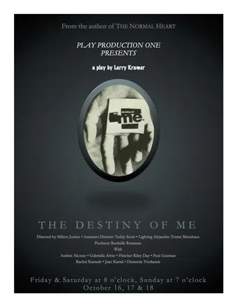 destiny of me 2015 poster