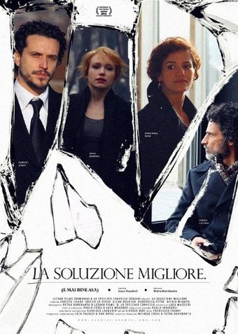 la soluzione migliore 2011 poster