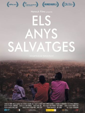 els anys salvatges 2013 poster