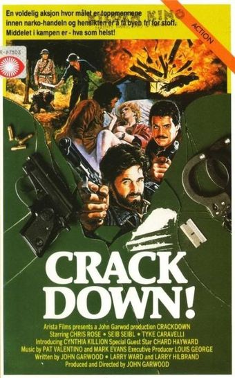 crackdown 1988 poster