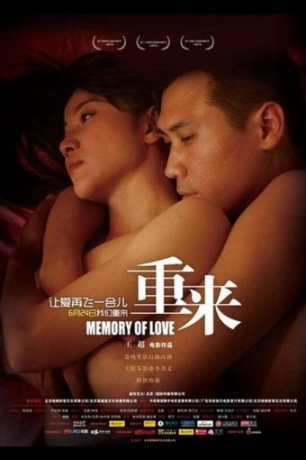 memory of love 2009 poster