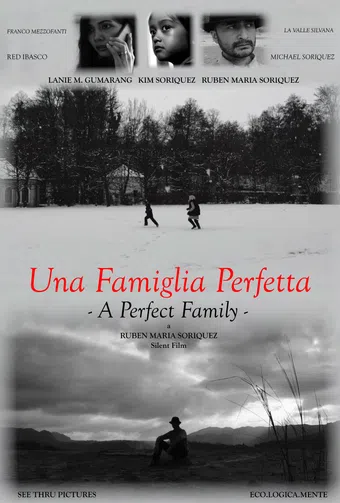 a perfect family 2017 poster