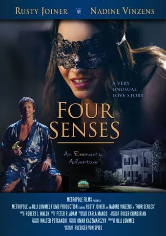 four senses 2013 poster