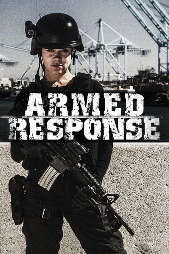 armed response 2013 poster