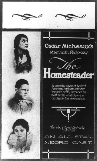 the homesteader 1919 poster