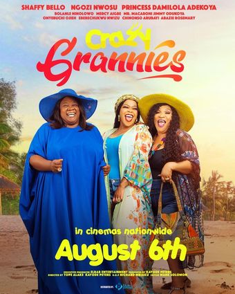 crazy grannies 2021 poster