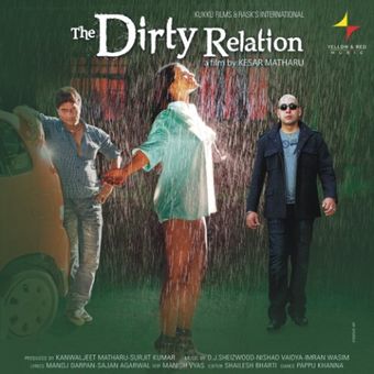 the dirty relation 2013 poster